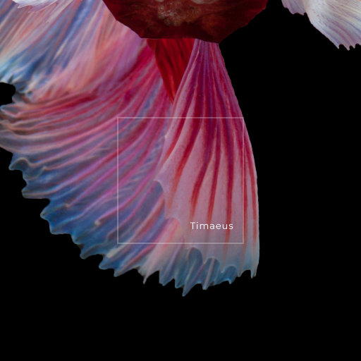 欧美日韩精品一区二区三区视频播放
